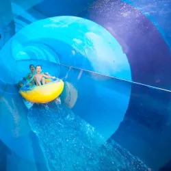 Great Wolf Lodge Concord - Concord