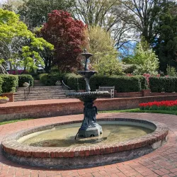 McEachern Memorial Garden - Concord