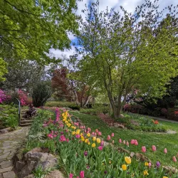 McEachern Memorial Garden - Concord