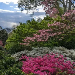 McEachern Memorial Garden - Concord