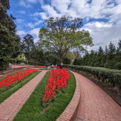 McEachern Memorial Garden - Concord