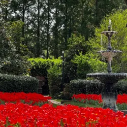 McEachern Memorial Garden - Concord