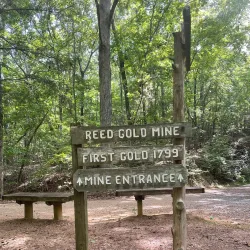 Reed Gold Mine - Concord