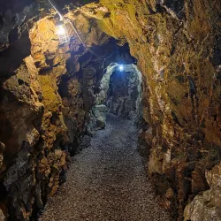 Reed Gold Mine - Concord