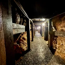 Reed Gold Mine - Concord