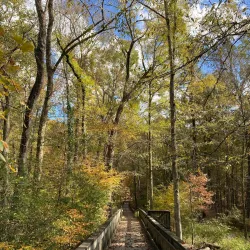 Reed Gold Mine - Concord