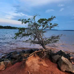 Jetton Park - Cornelius