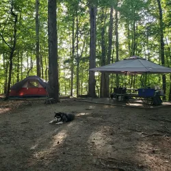 Lake Norman State Park - Cornelius