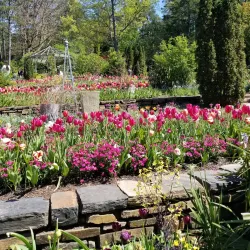 Sarah P. Duke Gardens - Durham