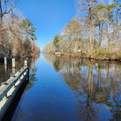Dismal Swamp Canal Trail - Elizabeth City