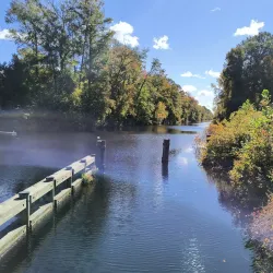 Dismal Swamp Canal Trail - Elizabeth City