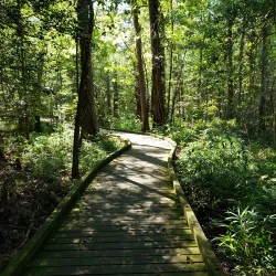 Dismal Swamp Canal Trail - Elizabeth City