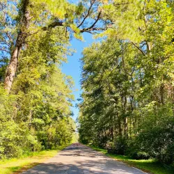 Dismal Swamp Canal Trail - Elizabeth City