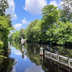 Dismal Swamp Canal Trail - Elizabeth City