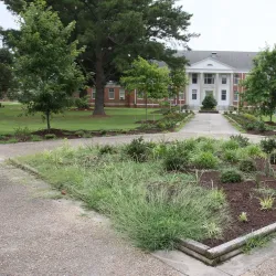 Elizabeth City State University - Elizabeth City