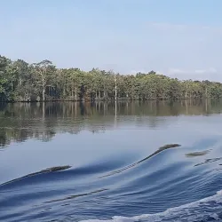 Pasquotank River - Elizabeth City