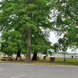 Waterfront Park - Elizabeth City