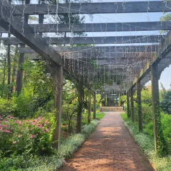 Cape Fear Botanical Garden - Fayetteville