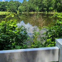 Cape Fear River Trail - Fayetteville