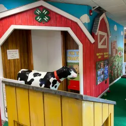 Fascinate-U Children's Museum - Fayetteville