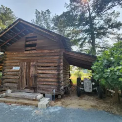 Fayetteville State University Arboretum - Fayetteville