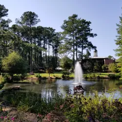 Fayetteville State University Arboretum - Fayetteville