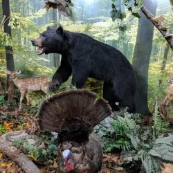 J. Bayard Clark Park and Nature Center - Fayetteville