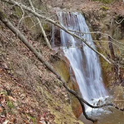 J. Bayard Clark Park and Nature Center - Fayetteville