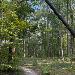 J. Bayard Clark Park and Nature Center - Fayetteville