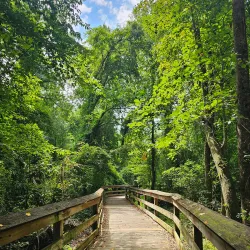 J. Bayard Clark Park and Nature Center - Fayetteville
