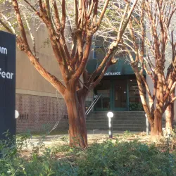 Museum of the Cape Fear Historical Complex - Fayetteville