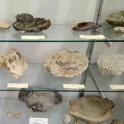 Franklin Gem and Mineral Museum - Franklin