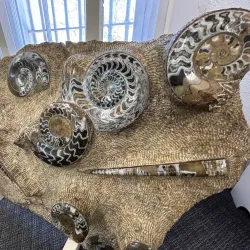 Franklin Gem and Mineral Museum - Franklin