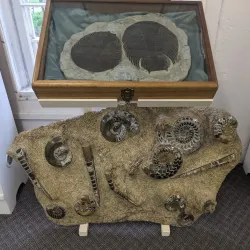 Franklin Gem and Mineral Museum - Franklin