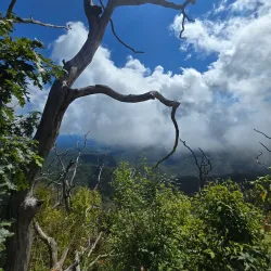 Wayah Bald Tower - Franklin