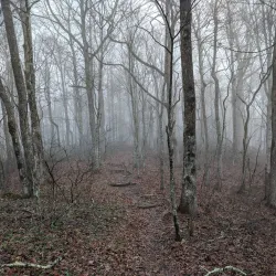 Wayah Bald Tower - Franklin