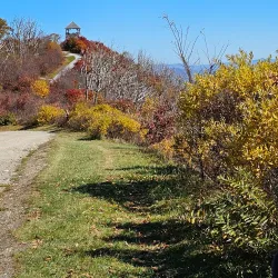 Wayah Bald Tower - Franklin