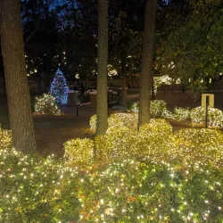 Fuquay Mineral Spring Park - Fuquay-Varina