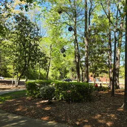 Fuquay-Varina Nature Preserve - Fuquay-Varina