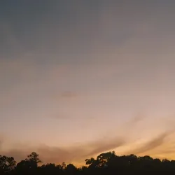 Lake Pine Park - Fuquay-Varina