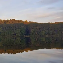 Lake Pine Park - Fuquay-Varina