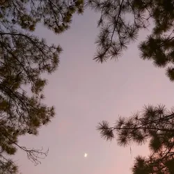 Lake Pine Park - Fuquay-Varina