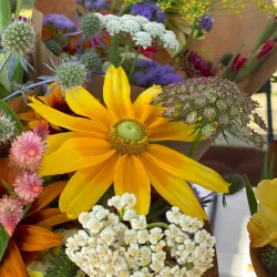 The Fuquay-Varina Farmers Market - Fuquay-Varina