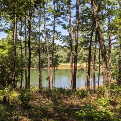 Cliffs of the Neuse Golf Course - Goldsboro
