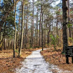 Cliffs of the Neuse State Park - Goldsboro