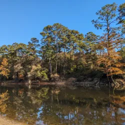 Cliffs of the Neuse State Park - Goldsboro