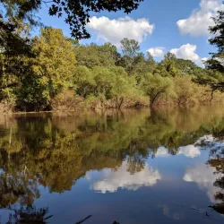 Cliffs of the Neuse State Park - Goldsboro