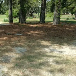 Goldsboro Municipal Golf Course - Goldsboro