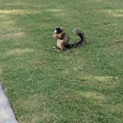 Goldsboro Municipal Golf Course - Goldsboro