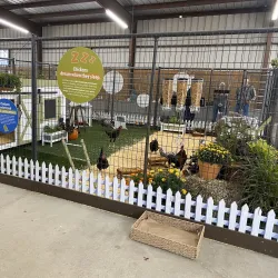 Wayne County Fairgrounds - Goldsboro